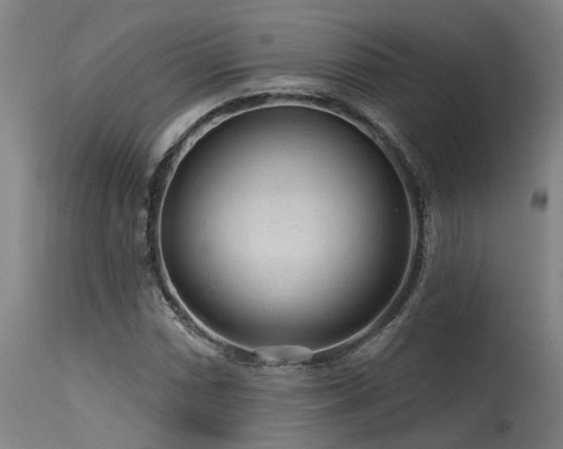 X0000115631066200911101432