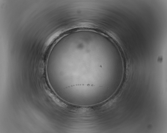 X0000115631067200911101432