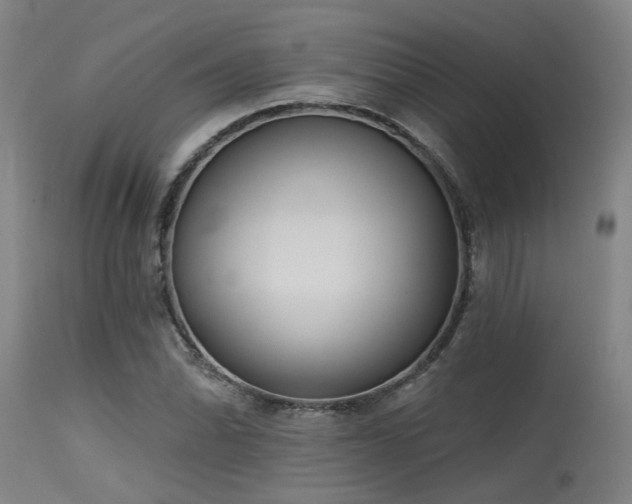 X0000115631070200911101432