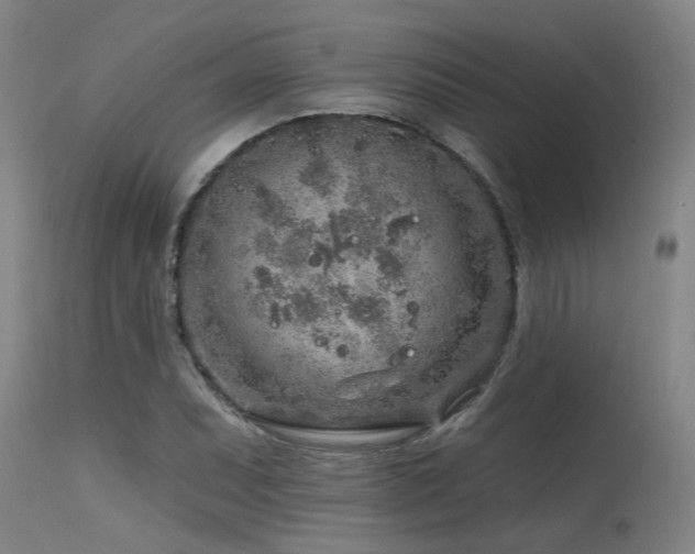 X0000115631071200911101432