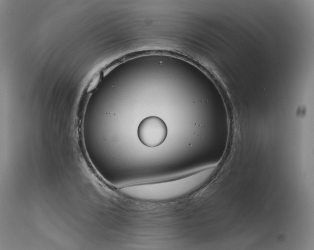 X0000115631072200911101432