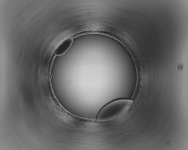X0000115631073200911101432
