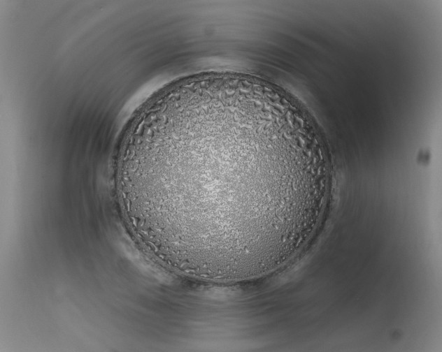 X0000115631074200911101432