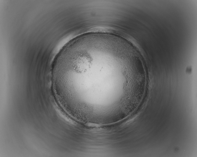 X0000115631075200911101432
