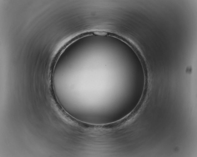 X0000115631077200911101432