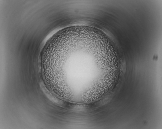 X0000115631078200911101432