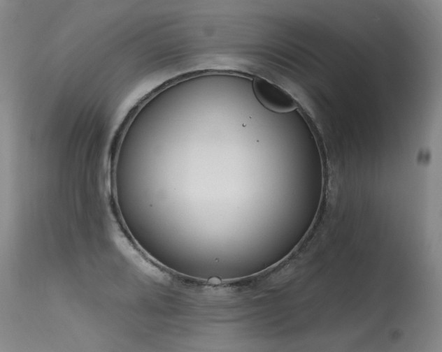 X0000115631080200911101432