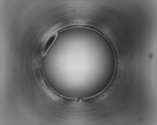 X0000115631081200911101432