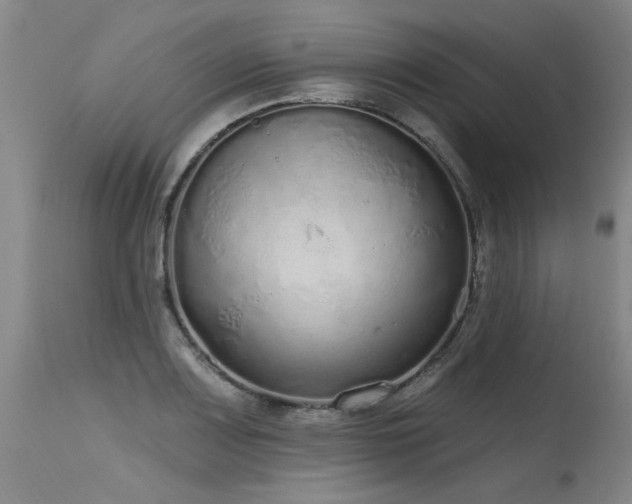 X0000115631083200911101432
