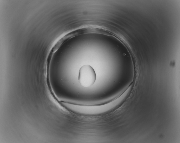 X0000115631084200911101432