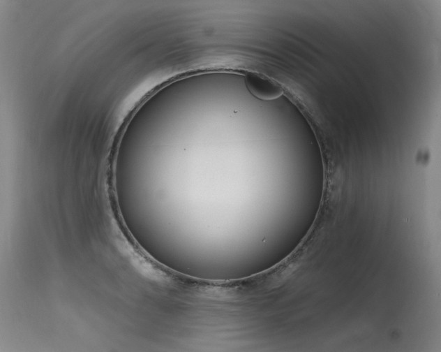 X0000115631086200911101432