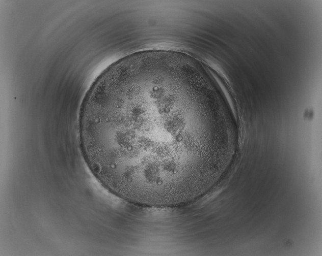 X0000115631087200911101432