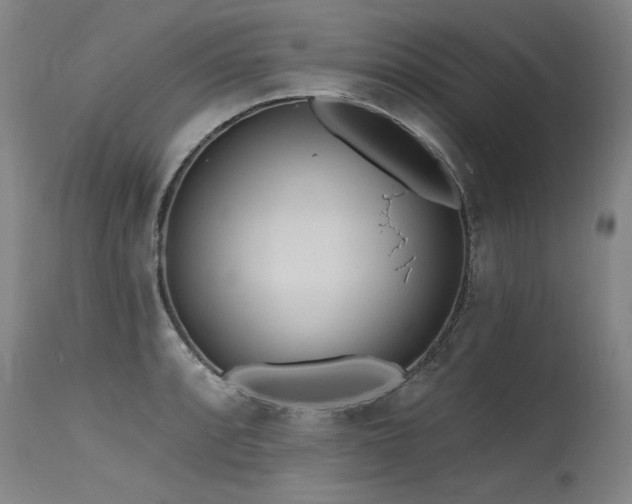 X0000115631088200911101432