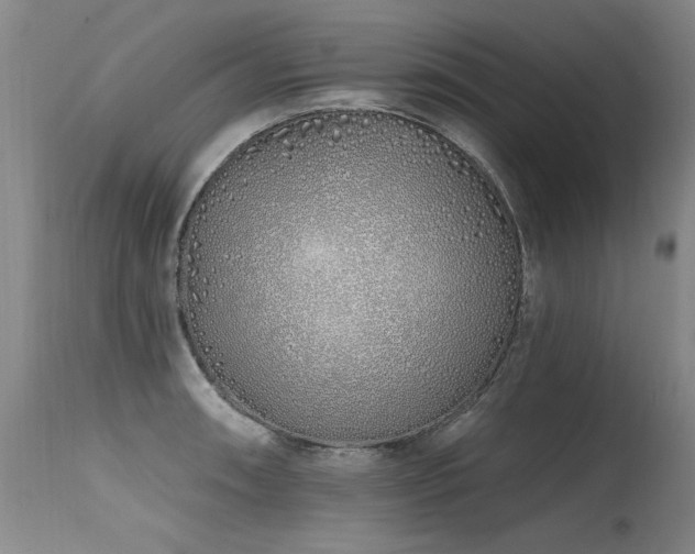 X0000115631090200911101432