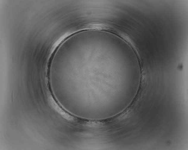 X0000115631091200911101432