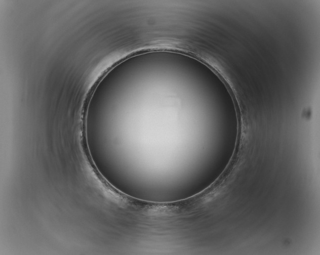 X0000115631093200911101432