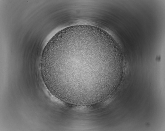 X0000115631094200911101432