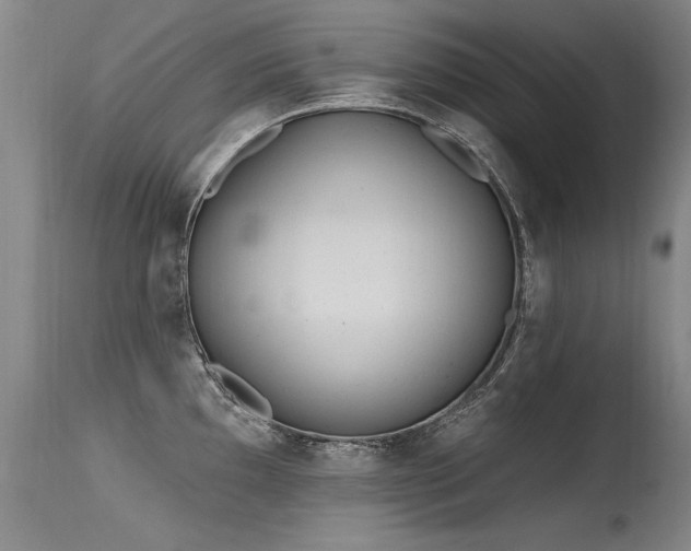 X0000115631097200911101432
