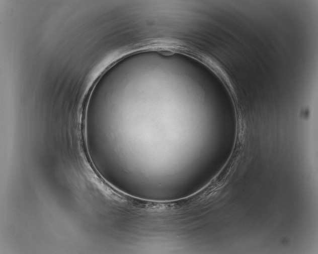 X0000115631099200911101432