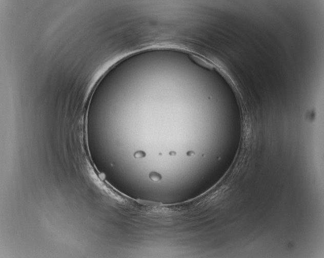 X0000115631100200911101432