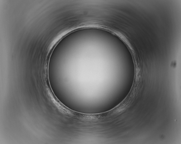 X0000115631101200911101432