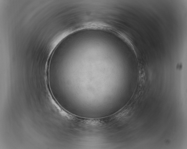 X0000115631103200911101432