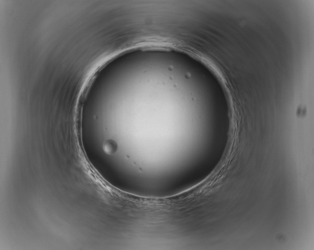 X0000115631104200911101432
