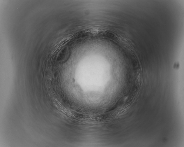 X0000115631105200911101431