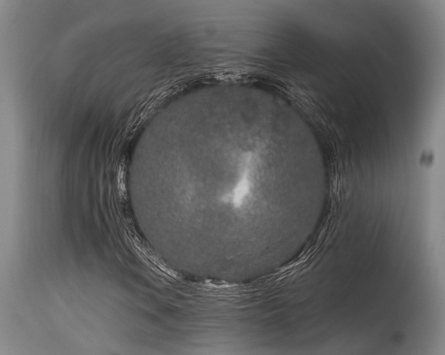 X0000115631106200911101431