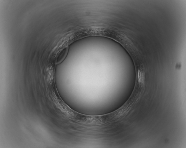 X0000115631107200911101431