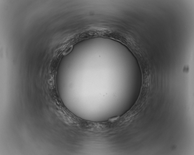 X0000115631109200911101431