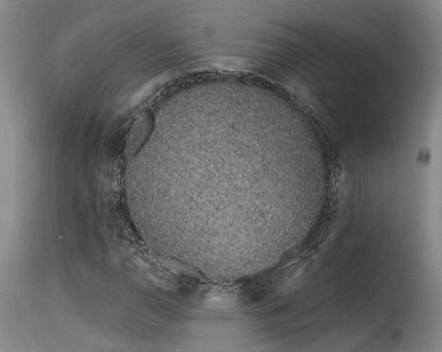 X0000115631110200911101431