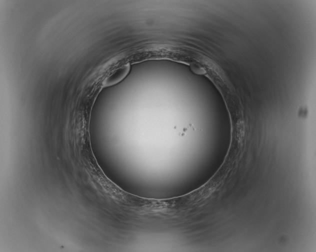 X0000115631111200911101431