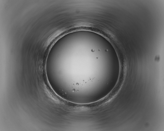 X0000115631113200911101431