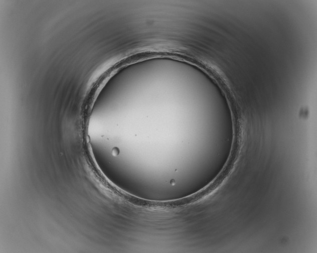 X0000115631114200911101431
