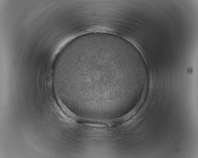 X0000115631115200911101431