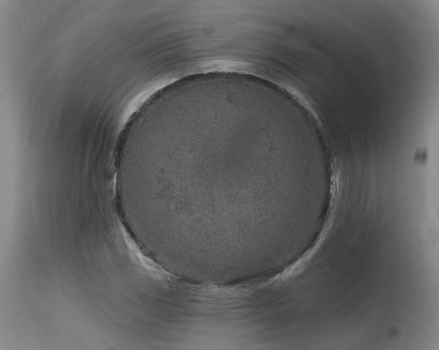 X0000115631117200911101431