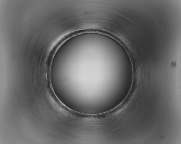 X0000115631118200911101431