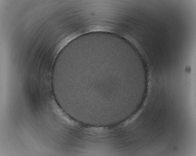 X0000115631121200911101431
