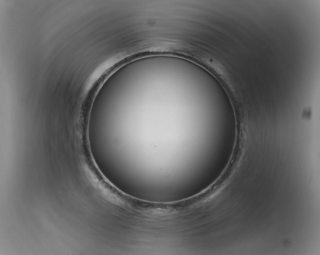 X0000115631122200911101431