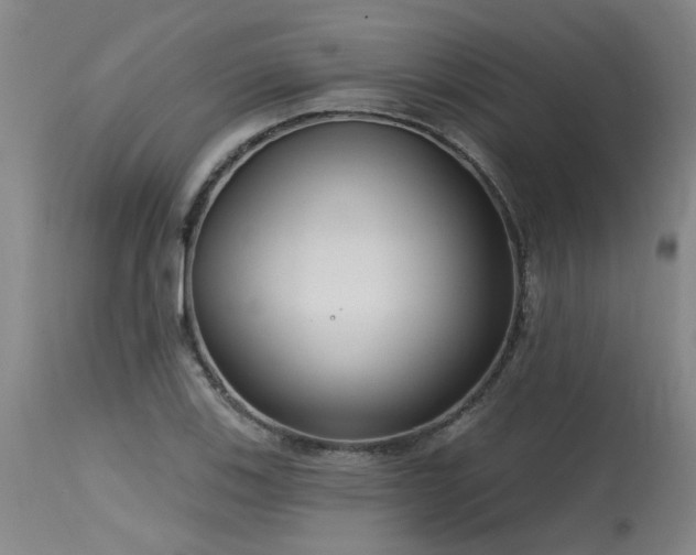 X0000115631123200911101431