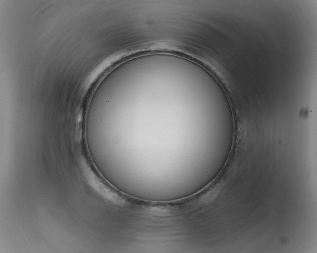 X0000115631126200911101431