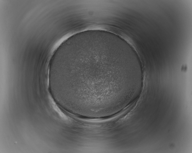 X0000115631127200911101431