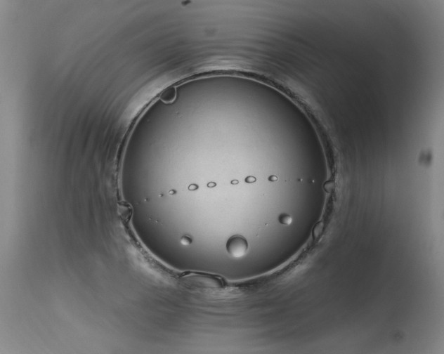 X0000115631129200911101431