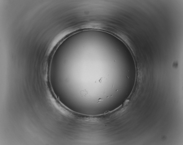 X0000115631131200911101431