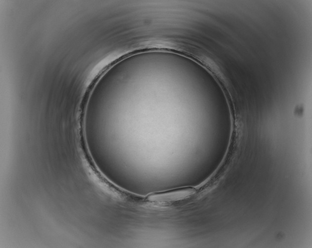 X0000115631133200911101431