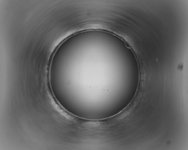 X0000115631134200911101431