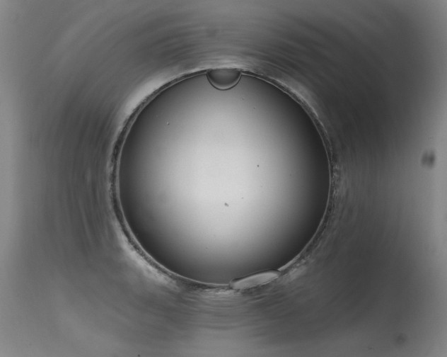 X0000115631135200911101431
