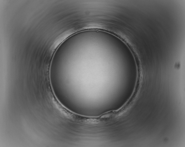 X0000115631137200911101432
