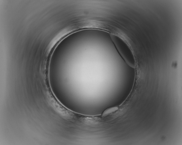 X0000115631138200911101432